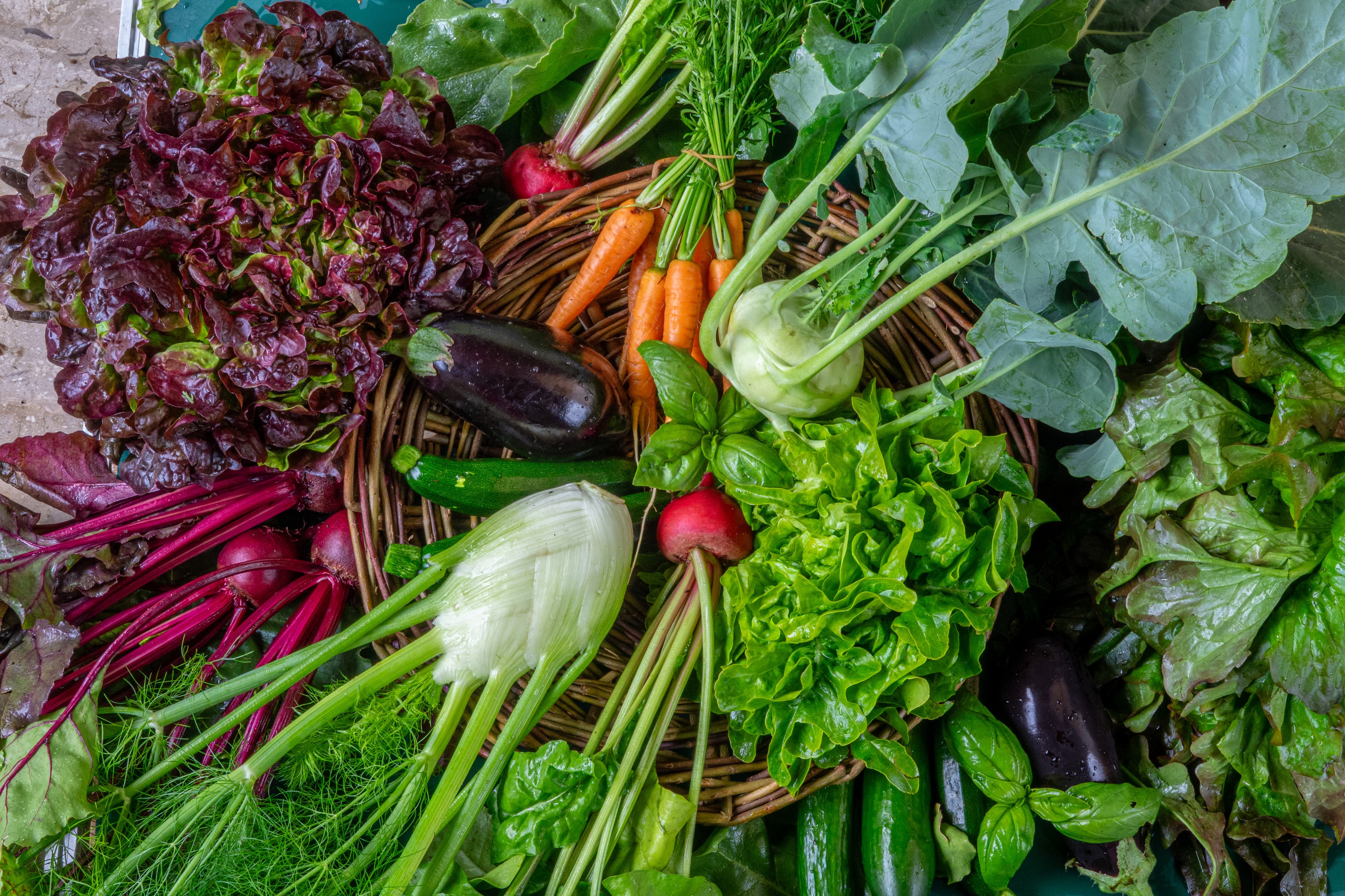 Frisch geerntetes Gemüse aus dem Feld in Sasserath