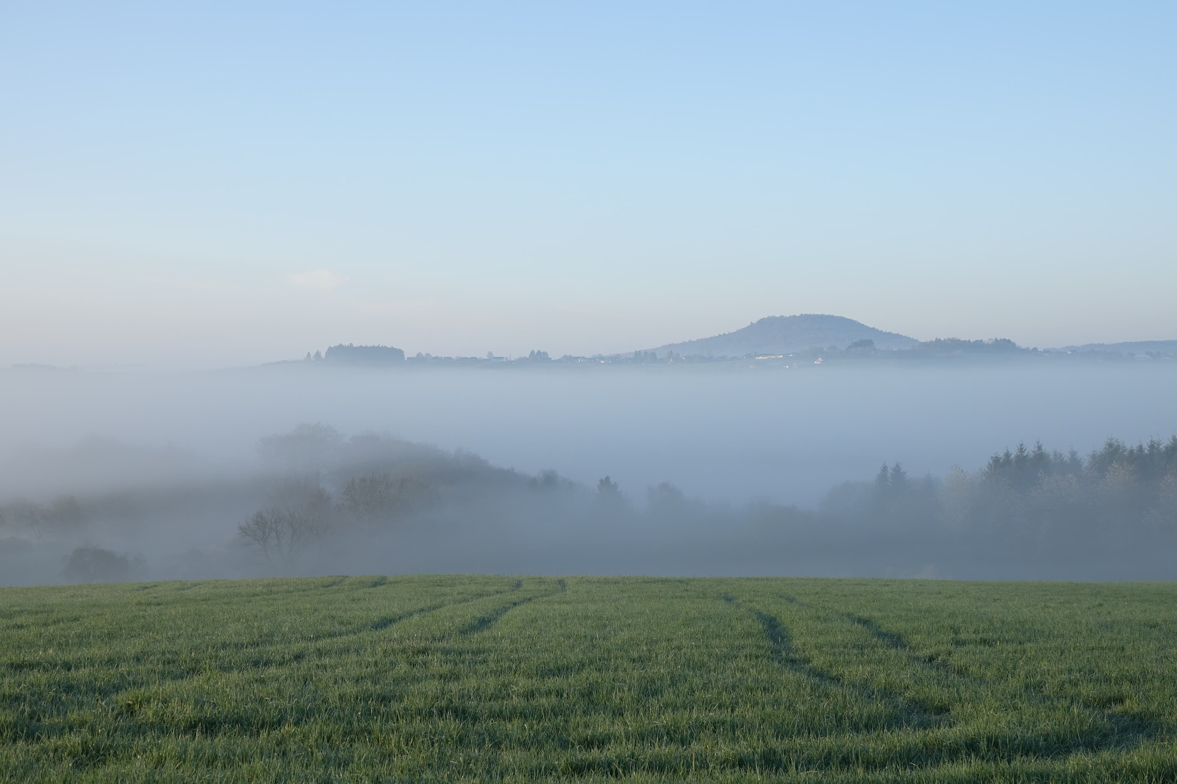 Aussicht auf den Arenberg