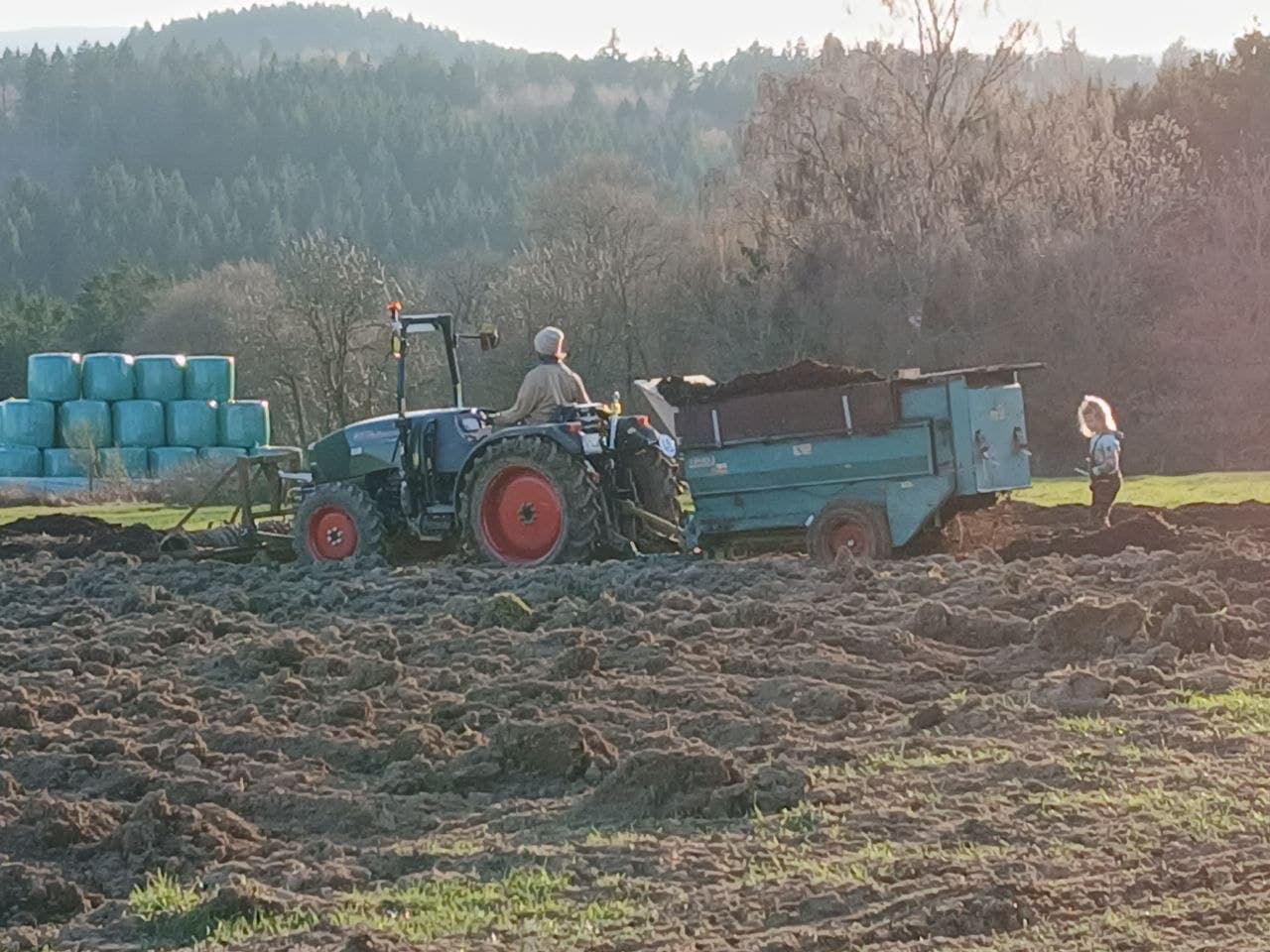 Kompost streuen — die Schicht für No-Dig