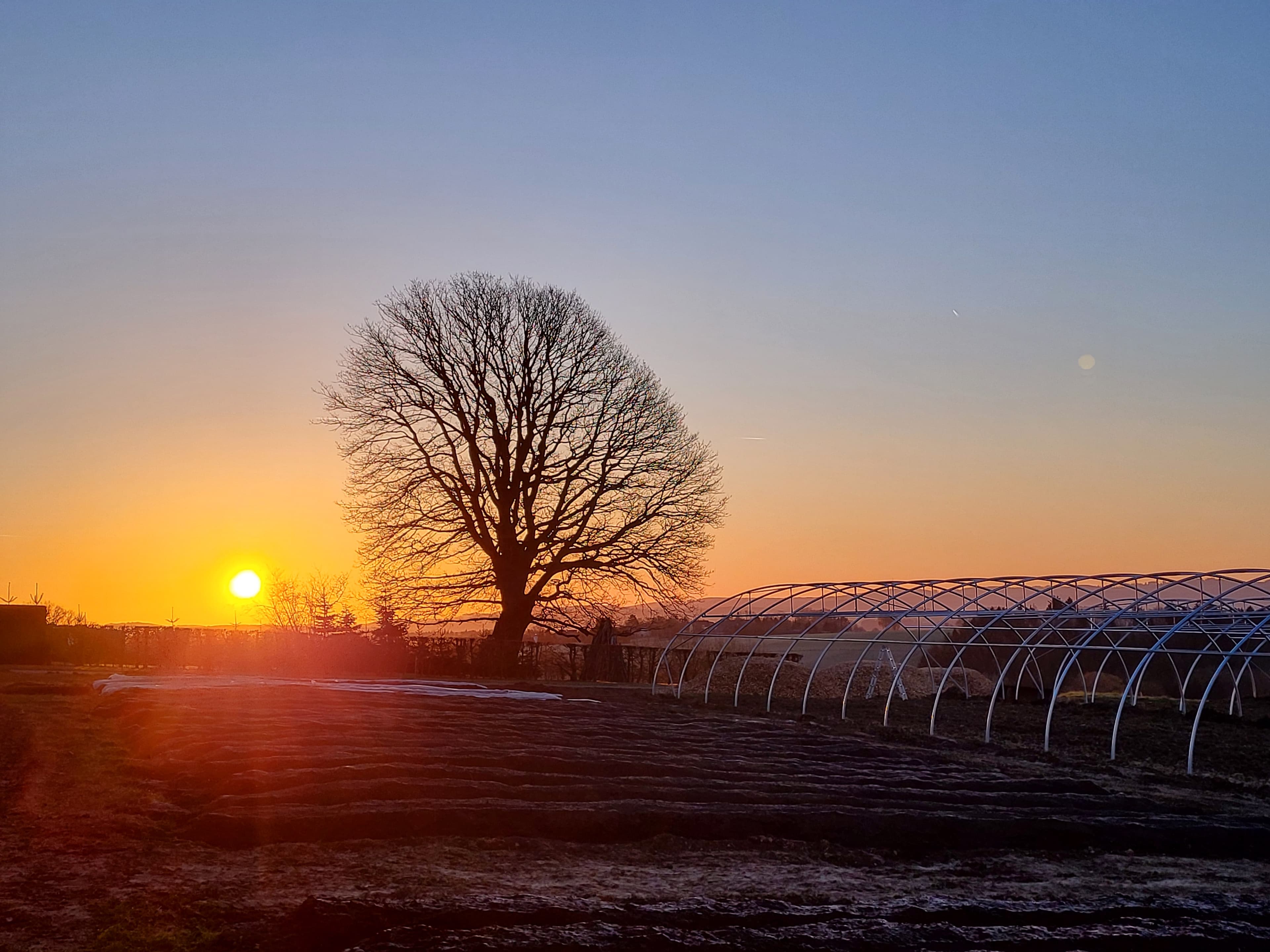 Aussicht über die Beete am frühen Morgen