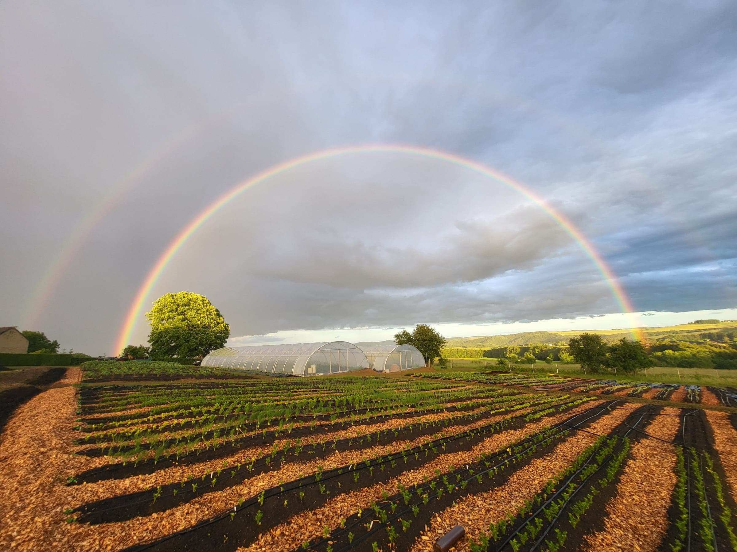 Regenbogen über dem Garten in Sasserath — Folientunnel und frisch bepflanzte Beete